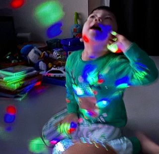 豆腐と節男と時々ズミ