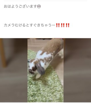双子のりんかあんな