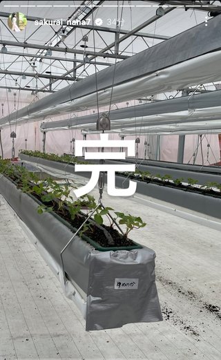 桜井奈々さんって