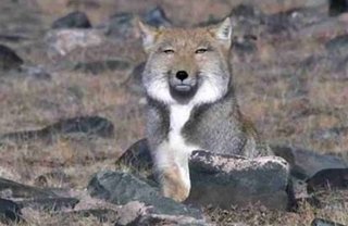 美奈子の長女、離婚を報告