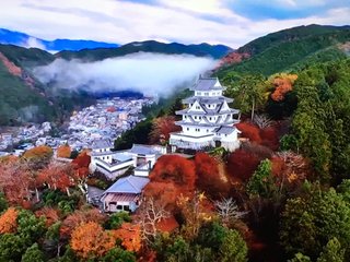 &#x{11:F8E2};なんでもいｰから&#x{11:F8E2};