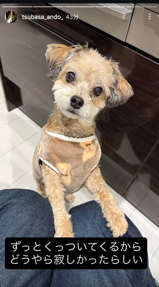 ぷちあや（プチプラのあや）