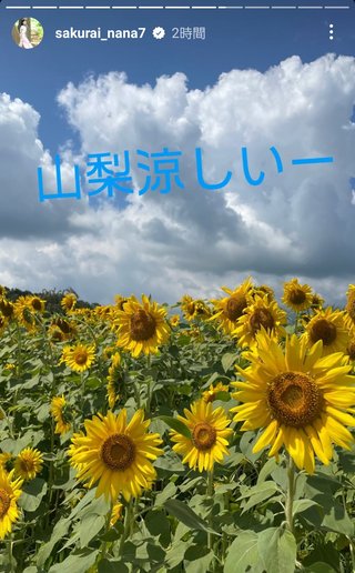 桜井奈々さんって