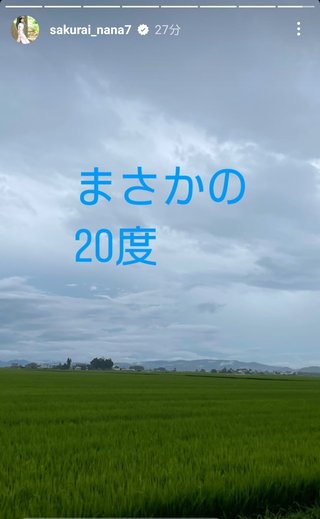 桜井奈々さんって