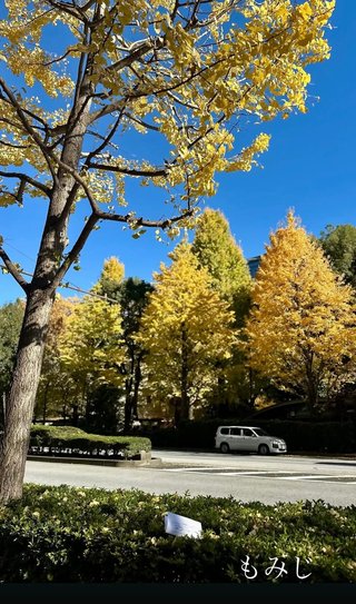 ひーぼんママファミリー見てる人