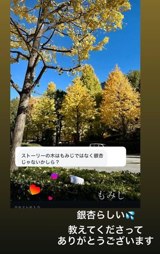 ひーぼんママファミリー見てる人