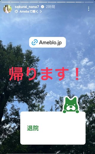 桜井奈々さんって