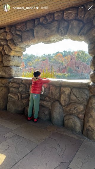 桜井奈々さんって