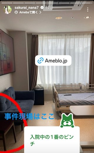 桜井奈々さんって