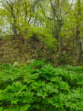 89キロになってしまった。