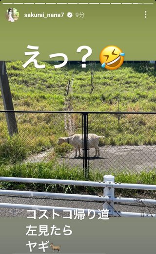 桜井奈々さんって