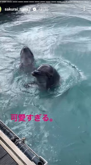 桜井奈々さんって