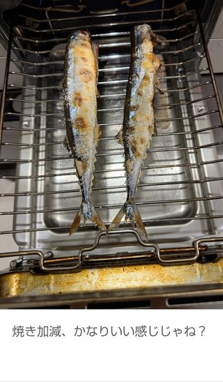 ぷちあや（プチプラのあや）