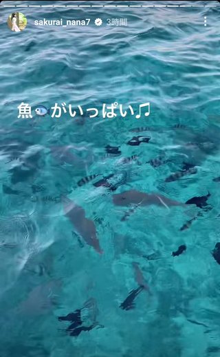 桜井奈々さんって