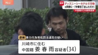 ディズニーシー内ホテルに刃物持って侵入した中国籍の男(34)の身柄を確保