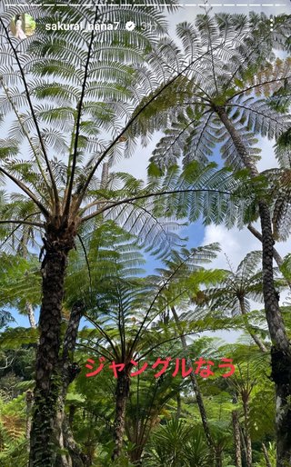 桜井奈々さんって