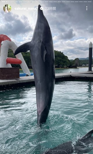 桜井奈々さんって