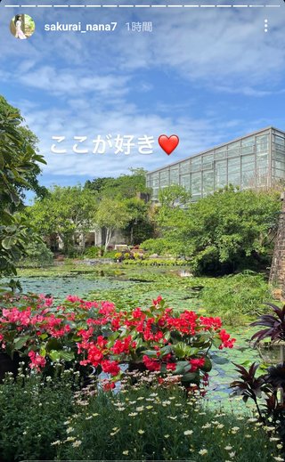 桜井奈々さんって