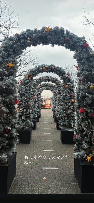 双子のりんかあんな