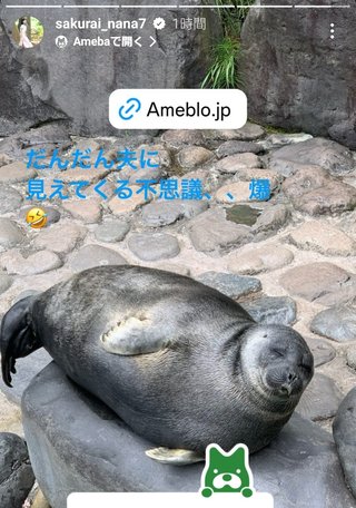 桜井奈々さんって