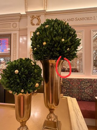 NEW    松居一代様を斬る  2 