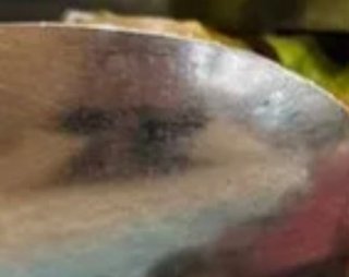 豆腐とズミと節男(雑談)