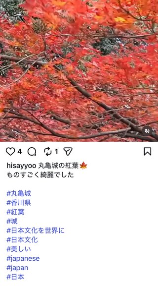 インスタの丸亀親善大使ファイナリストの方