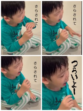 豆腐とズミと節男(雑談)