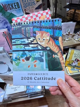 NEW    松居一代様を斬る  2 