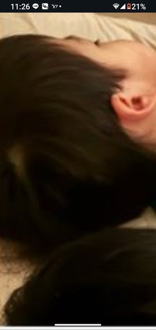 豆腐とズミと節男(雑談)