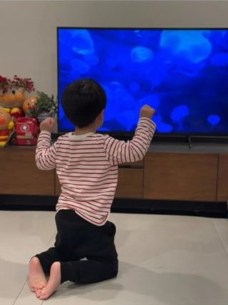 豆腐とズミと節男(雑談)