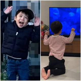 豆腐とズミと節男(雑談)