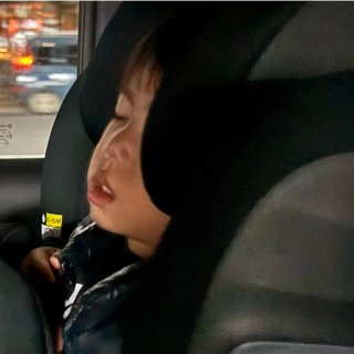 豆腐と節男と時々ズミ