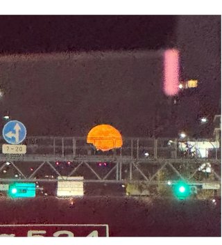 豆腐とズミと節男(雑談)