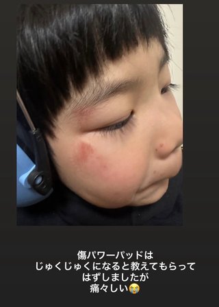 ひーぼんママファミリー見てる人