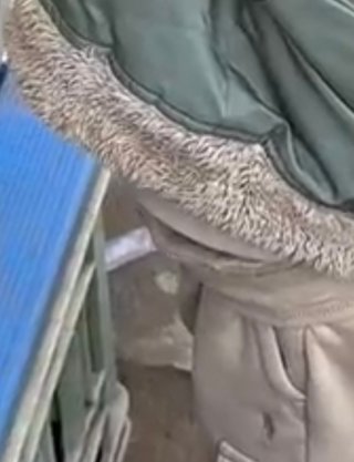 豆腐とズミと節男(雑談)