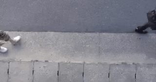 毎回防犯カメラを確認してしまう糞尿撒きおじさんの関將行