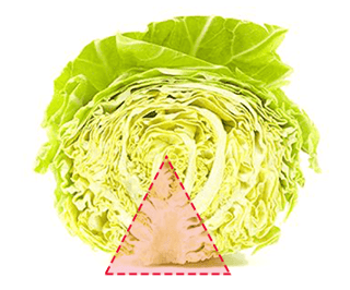 キャベツのここ不味くない？
