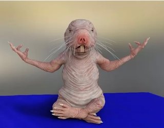 インスタの丸亀親善大使ファイナリストの方