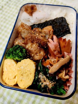 お弁当見せてください