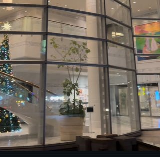 インスタの丸亀親善大使ファイナリストの方