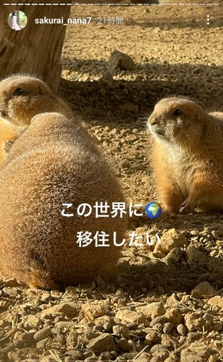 桜井奈々さんって