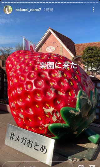 桜井奈々さんって