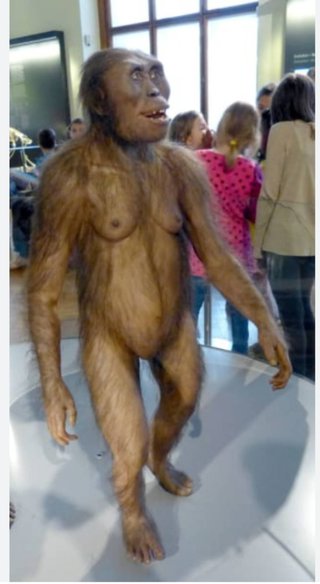 インスタの丸亀親善大使ファイナリストの方