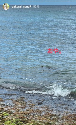 桜井奈々さんって