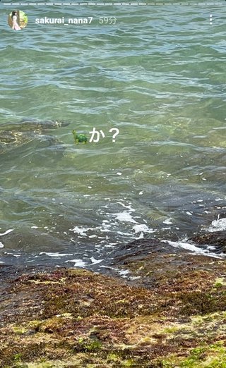 桜井奈々さんって