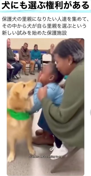 犬にも里親を選ぶ権利がある