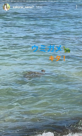 桜井奈々さんって