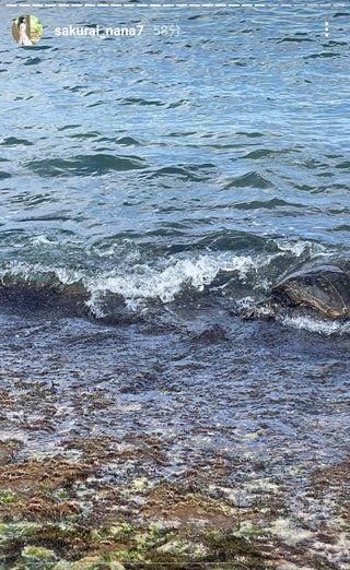 桜井奈々さんって