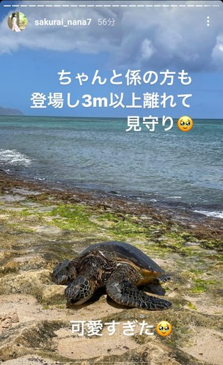 桜井奈々さんって